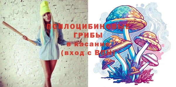 эйфоретик Алексин
