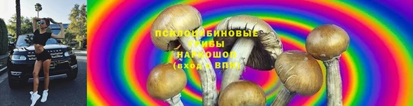 прущие грибы Алзамай