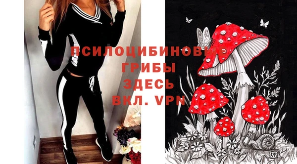 эйфоретик Алексин