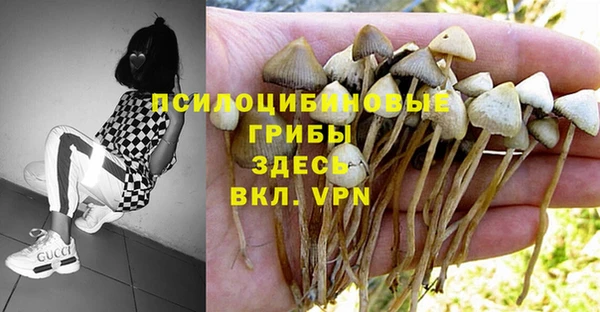 дживик Алексеевка