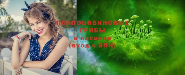 прущие грибы Алзамай