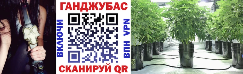 купить наркотики цена  Духовщина  Канабис SATIVA & INDICA 